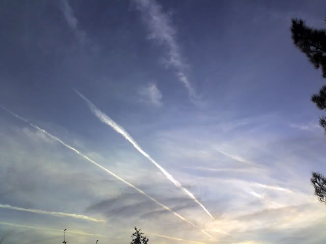 12-11-08_1703.jpg