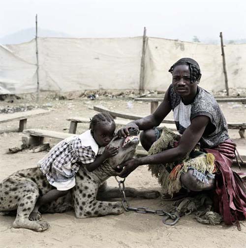 pet-hyena_05.jpg