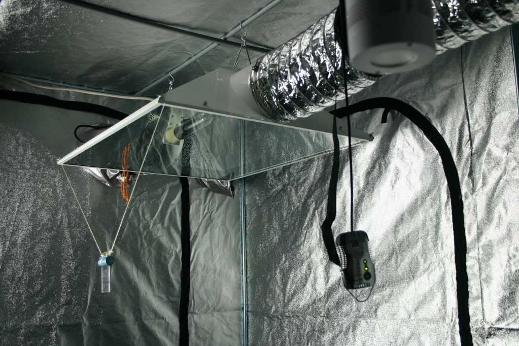 tent1.jpg