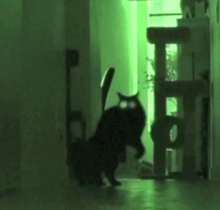 83415832.gif