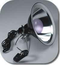 Dayspot150_rounded.jpg