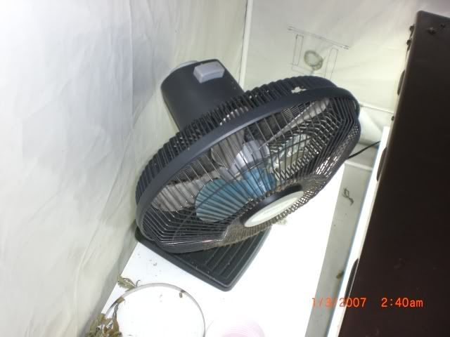 fanbroke.jpg