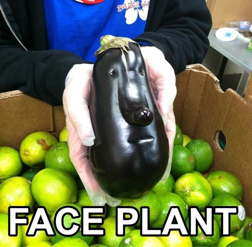 that-explains-the-shape-of-his-nose-i-guess