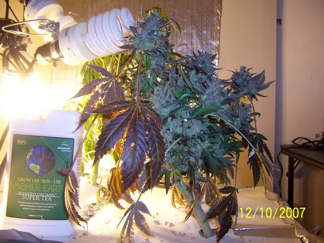 000_2040.jpg