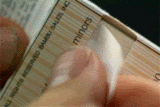 82404751.gif