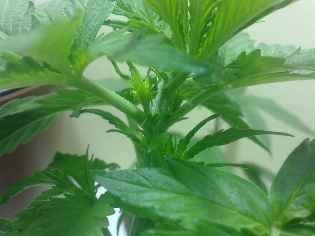 03072012541.jpg