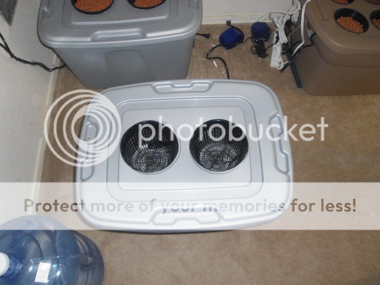 CIMG1040.jpg