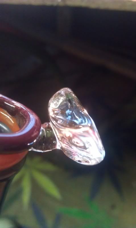 IMAG0180.jpg