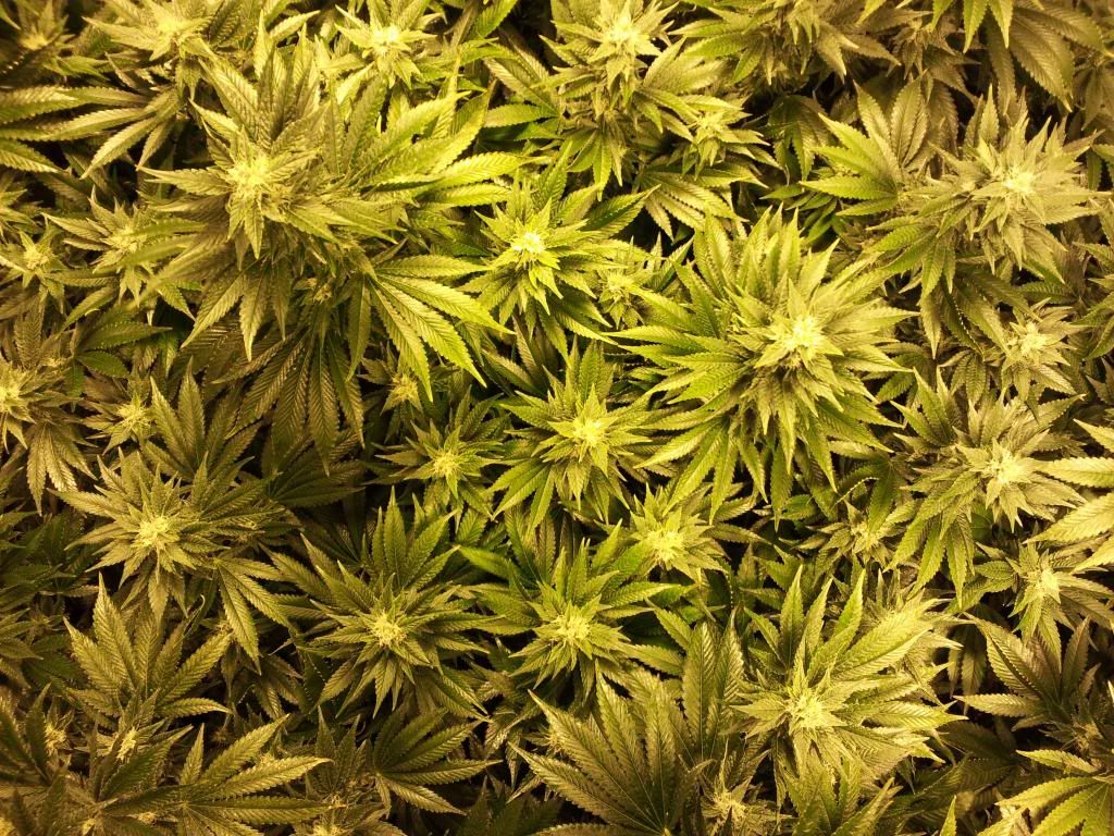 day33_4_zps406f75b9.jpg