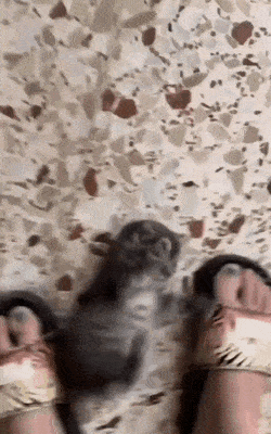 1670876373_10.gif