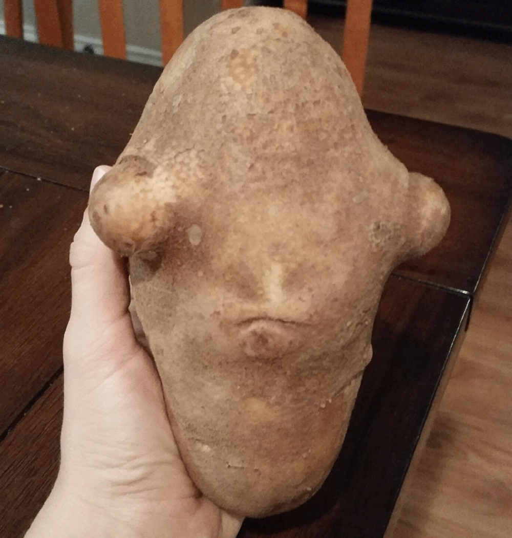 Star_Wars_Potato_DN01.gif