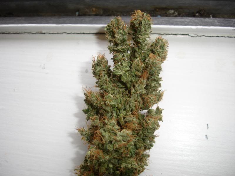 er3r34234334004.jpg