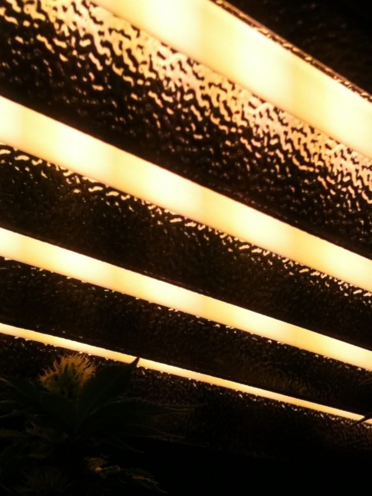 photo-6.jpg