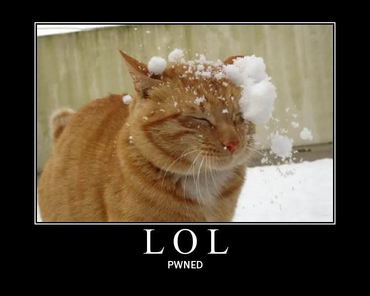 lolPwned.jpg