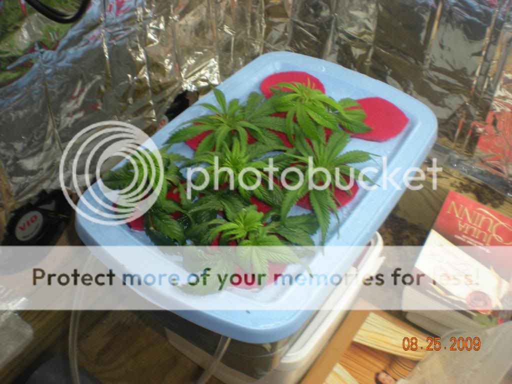 DSCN1879.jpg