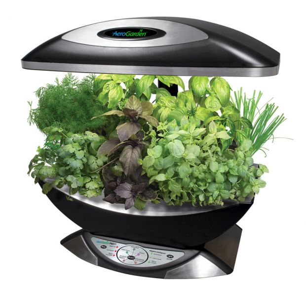 aerogarden1.jpg