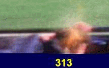 313-314.gif