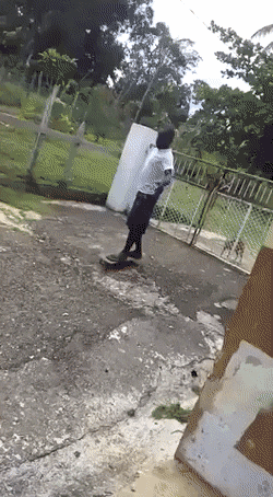 1652383628_15.gif