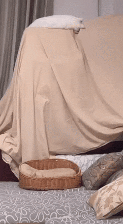 1668522605_8.gif