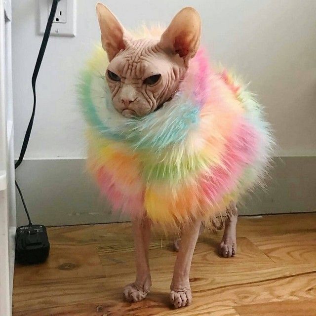 acid_picdump_69.jpg