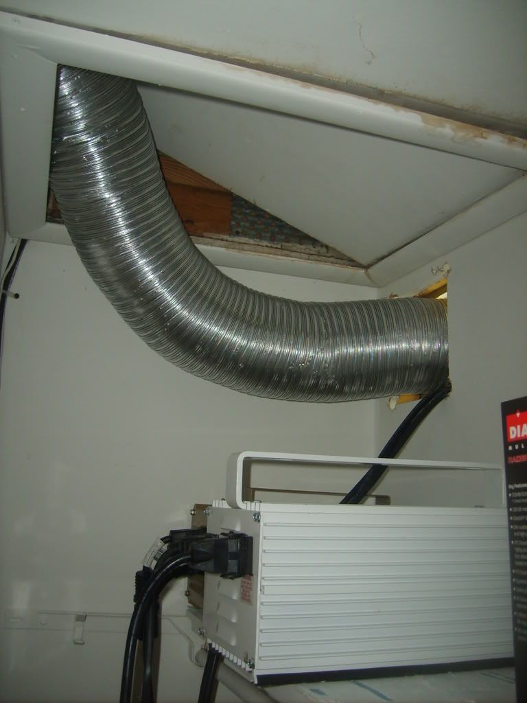 SD530101.jpg