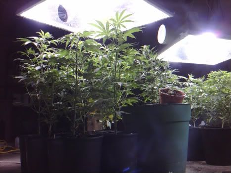 2011-11-07_205654.jpg