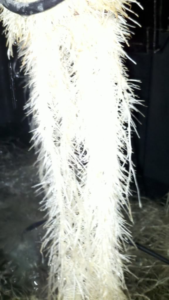 2010-12-08_12-03-37_959.jpg