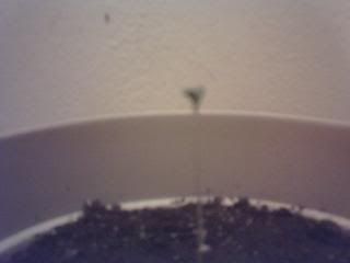 KylesNewBaby006.jpg