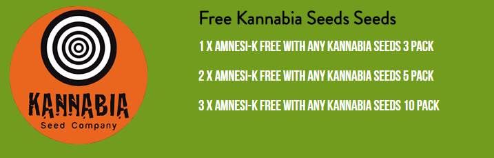 Kannabia%20Promo.png