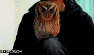 gif_04.gif