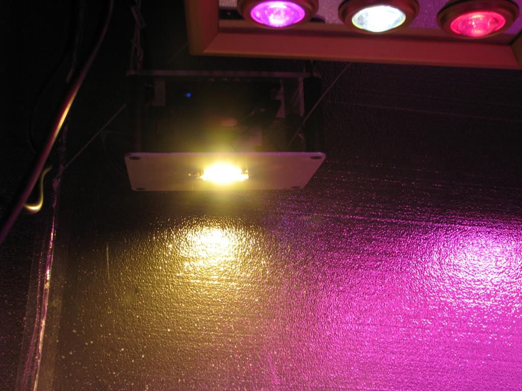 IMG_1233_zps3c3f6a59.jpg