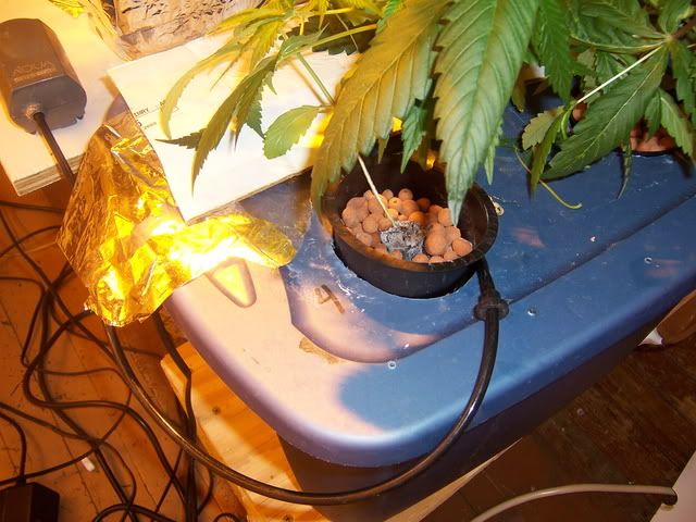 000_2694.jpg