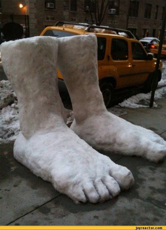 funny-pictures-auto-snow-legs-387291.jpeg