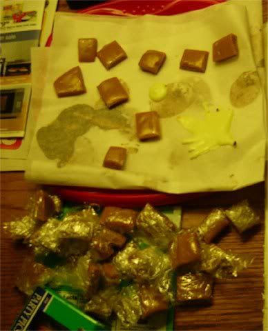 dosed2.jpg