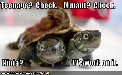 funny-pictures-tmnt-turtles.jpg