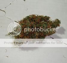 FinalWeight-LST.jpg