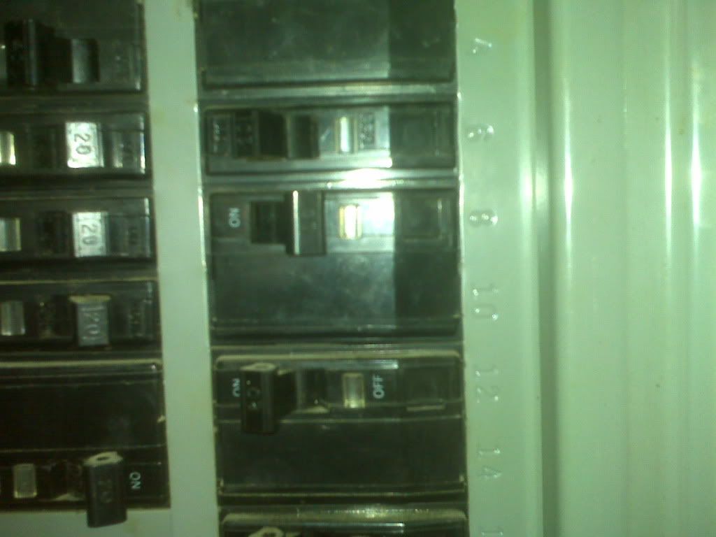 IMG01611.jpg