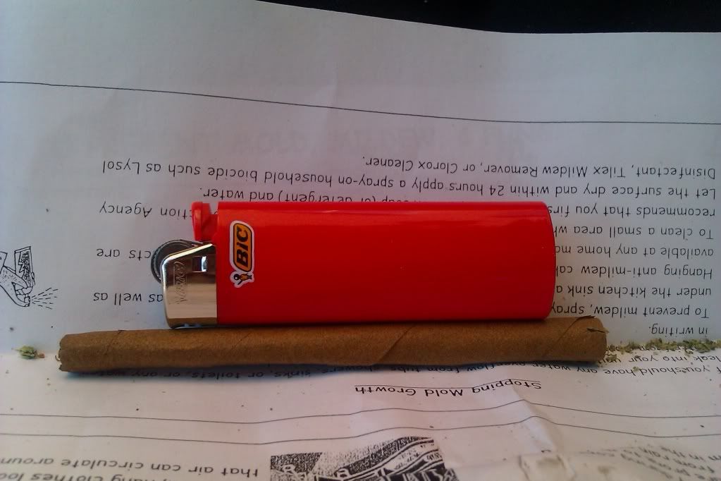 IMAG0067.jpg
