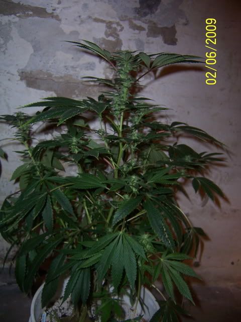 100_1281.jpg