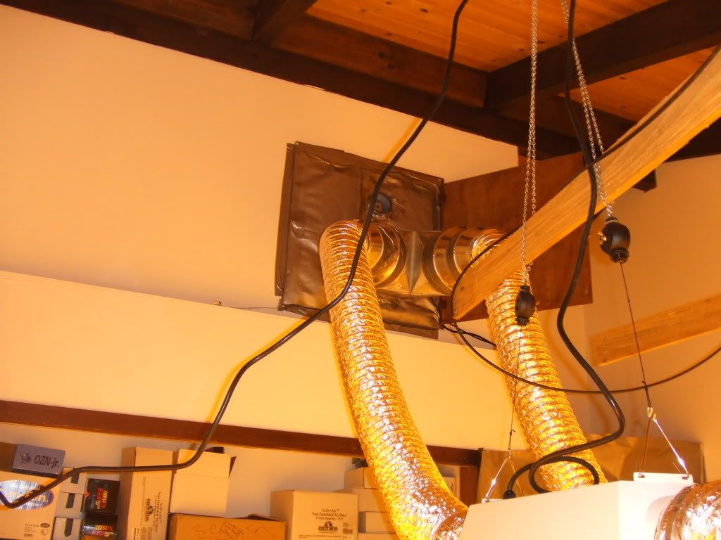 DSCF1373.jpg