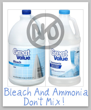 bleach-and-ammonia.jpg