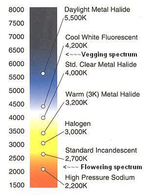 lightspectrumscale.jpg