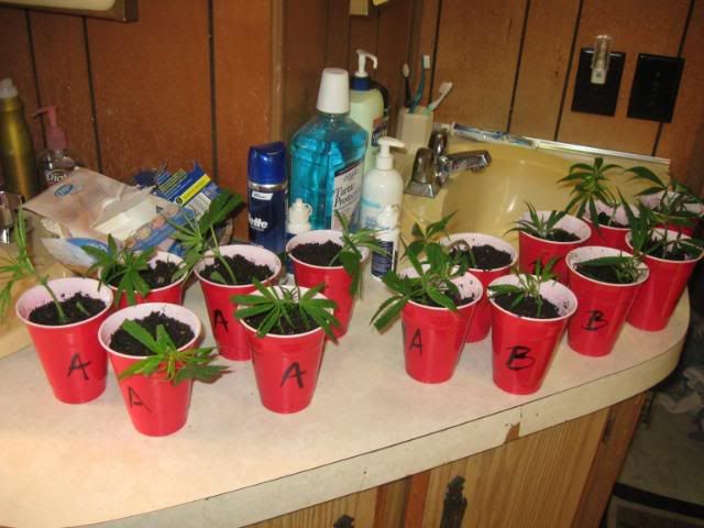 Picture059.jpg