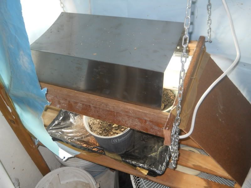 DSCN1640.jpg