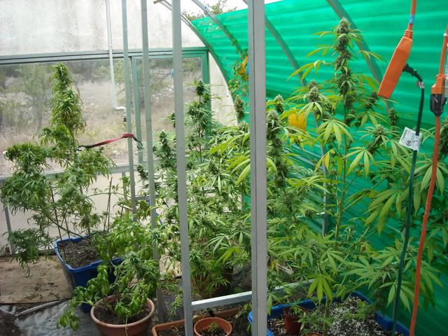 DSCN9042.jpg