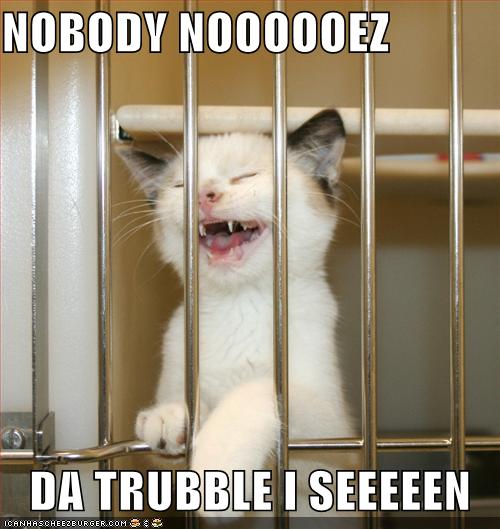 kitty+jail.jpg