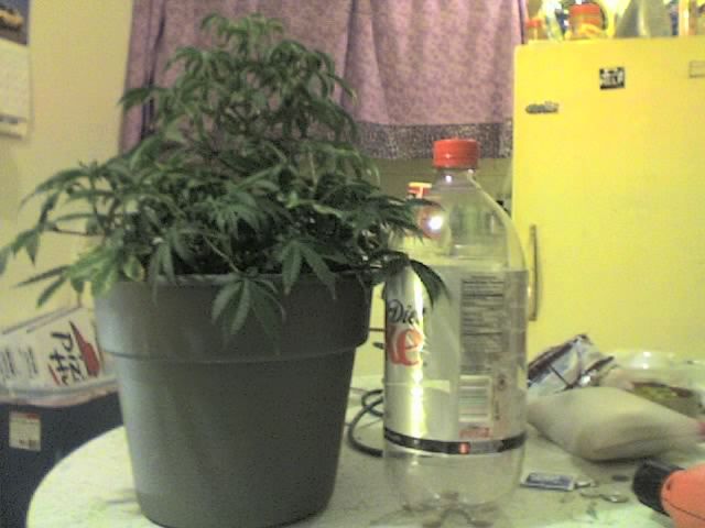 09-26-07_1540.jpg
