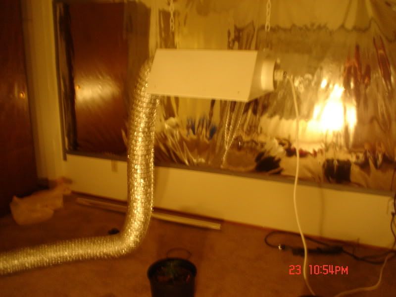 Picture064.jpg