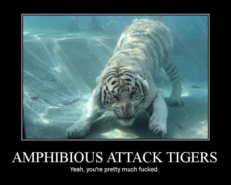 tiger.jpg