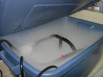 DSCN3590.jpg